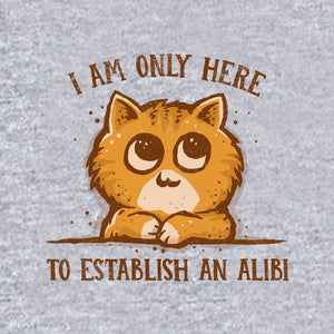 Only Here For The Alibi