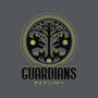 Iron Banner-womens fitted tee-Logozaste