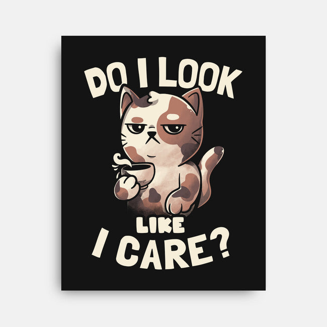 Do I Look Like I Care-none stretched canvas-eduely