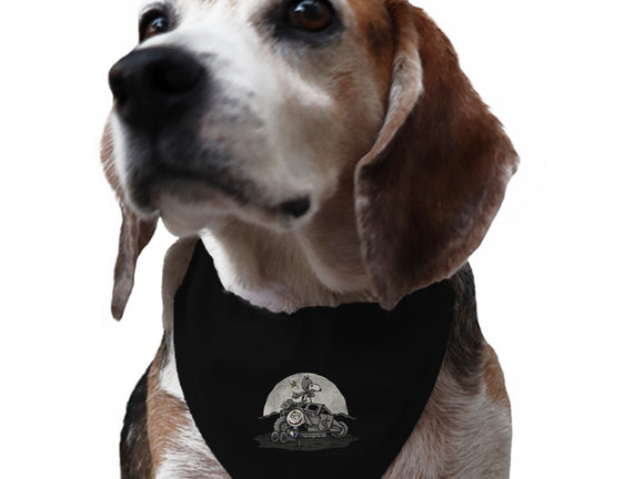 The Dark Beagle