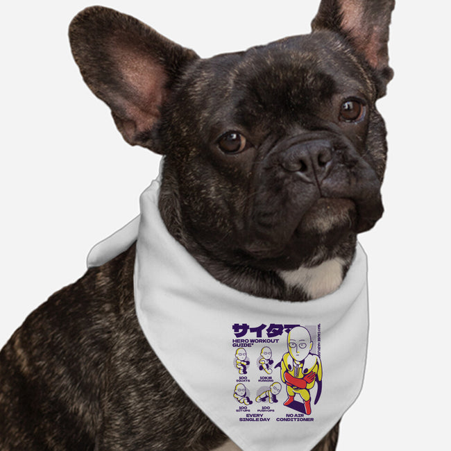 Hero Workout Guide-dog bandana pet collar-estudiofitas