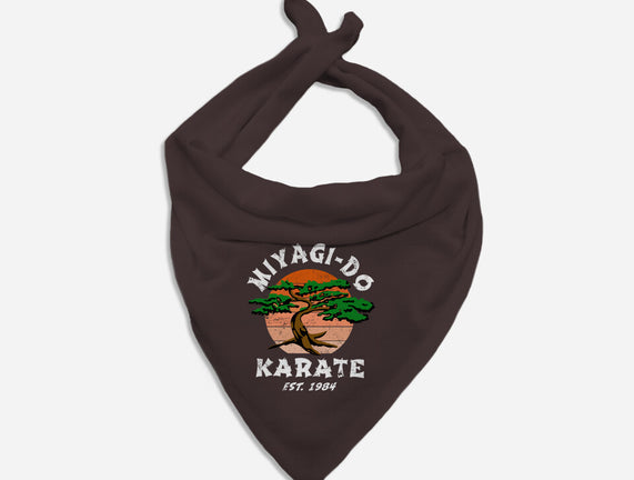 Miyagi Karate