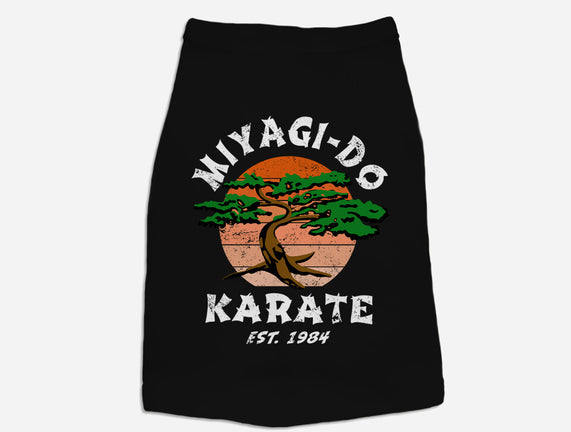 Miyagi Karate