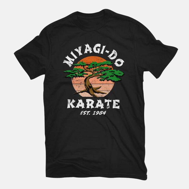 Miyagi Karate-womens fitted tee-Kari Sl