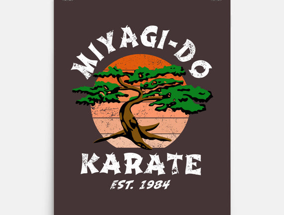 Miyagi Karate