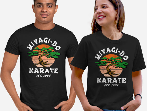 Miyagi Karate