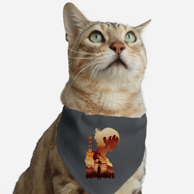 Revenge The Fate-cat adjustable pet collar-hirolabs