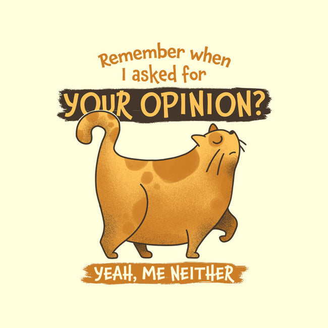 I Didn't Ask-none removable cover w insert throw pillow-zawitees