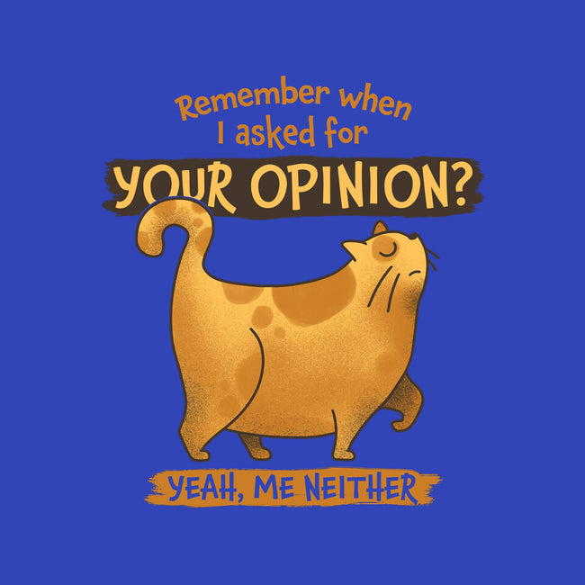I Didn't Ask-none removable cover w insert throw pillow-zawitees