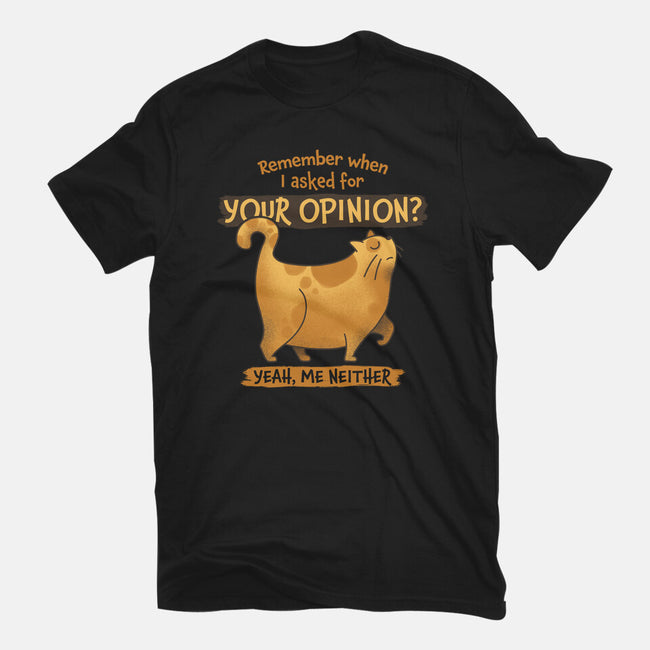 I Didn't Ask-womens basic tee-zawitees