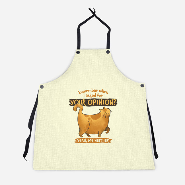 I Didn't Ask-unisex kitchen apron-zawitees