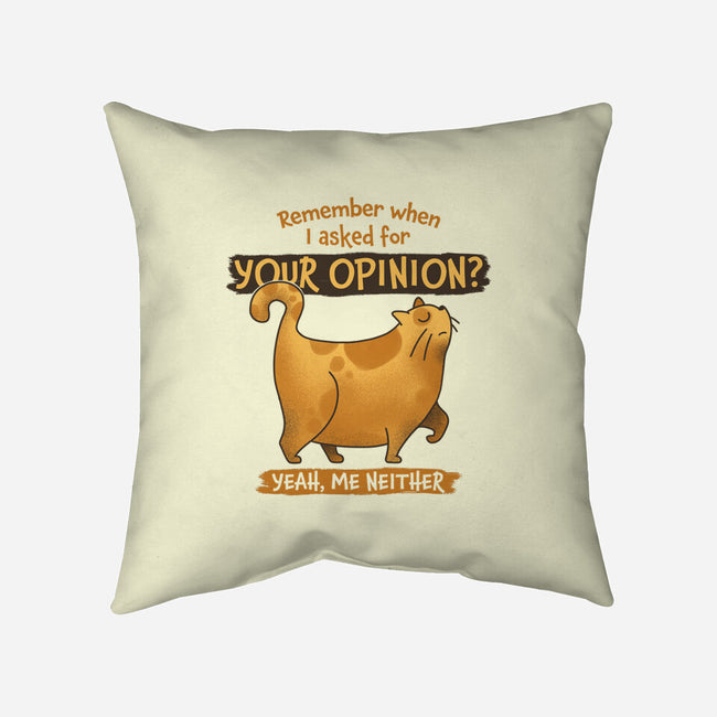 I Didn't Ask-none removable cover w insert throw pillow-zawitees