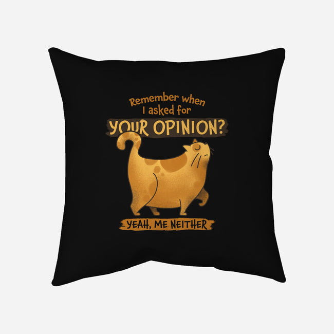I Didn't Ask-none removable cover throw pillow-zawitees