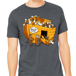 Noah's Ark Cat