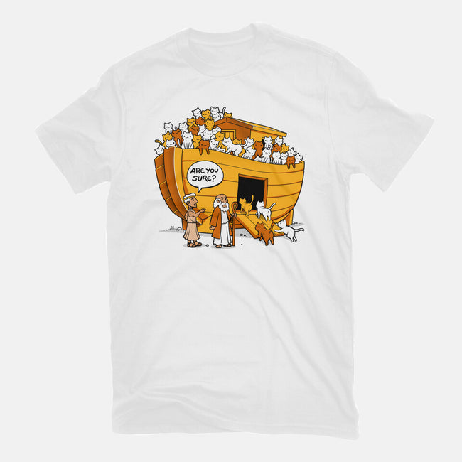 Noah's Ark Cat-womens fitted tee-tobefonseca