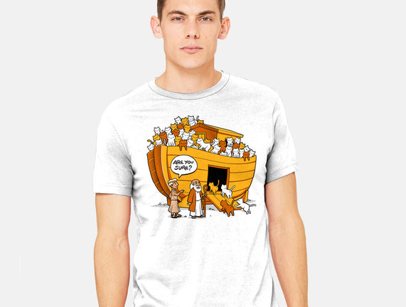 Noah's Ark Cat