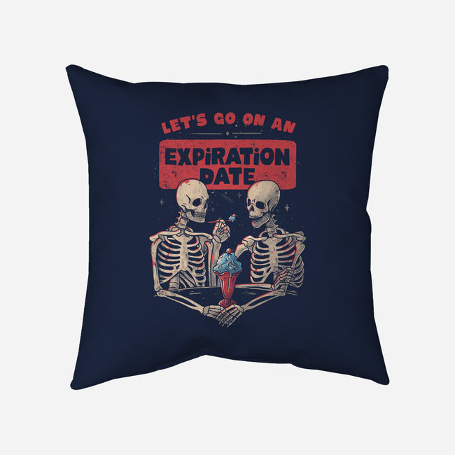 Expiration Date-none removable cover w insert throw pillow-eduely