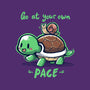 Go At Your Own Pace-none stretched canvas-TechraNova