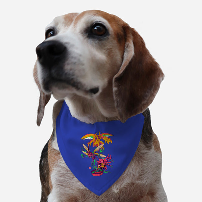 Knowledge-dog adjustable pet collar-Jelly89