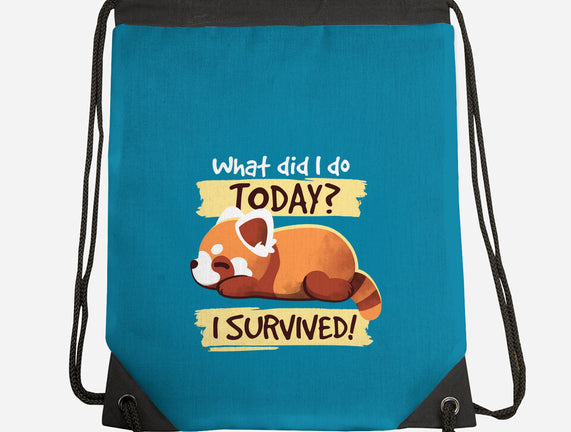 Survivor Red Panda