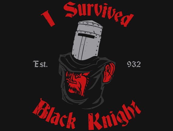 I Survived Black Knight