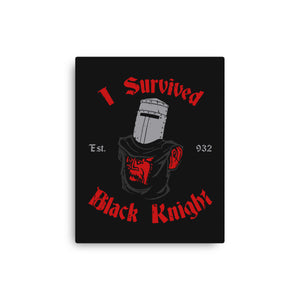 I Survived Black Knight