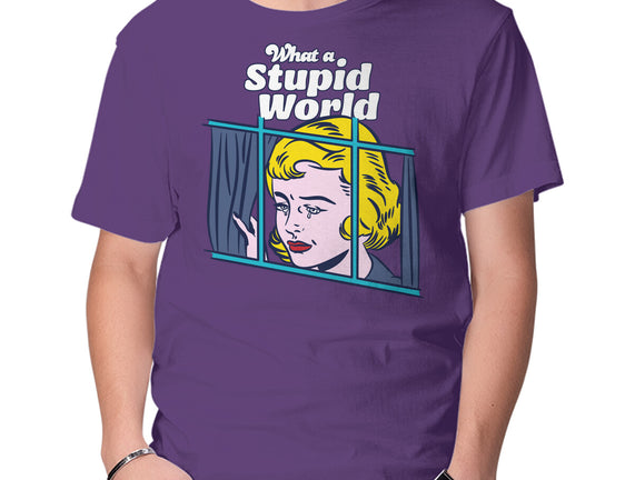 Stupid World