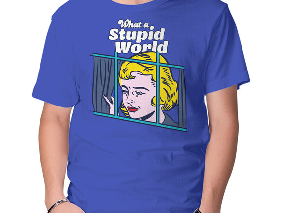 Stupid World