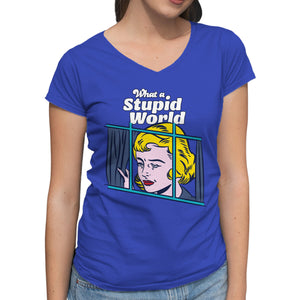 Stupid World