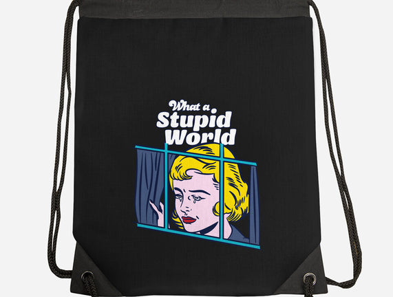 Stupid World