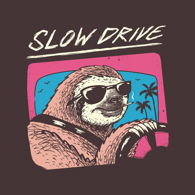 Drive Slow-none stretched canvas-vp021