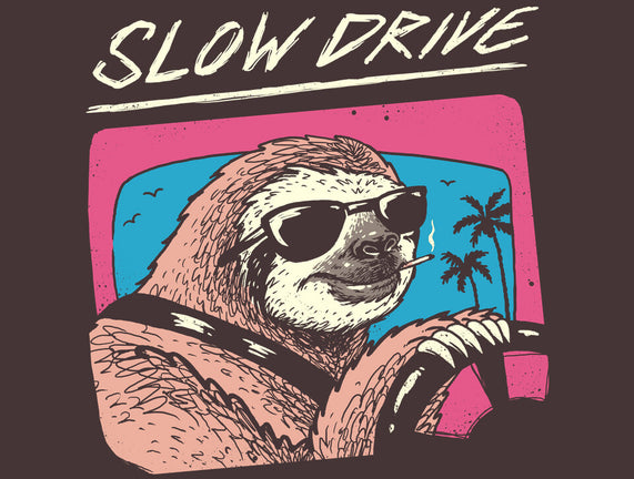 Drive Slow