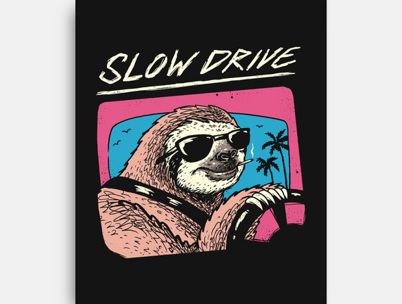 Drive Slow