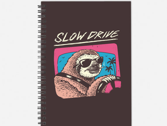 Drive Slow