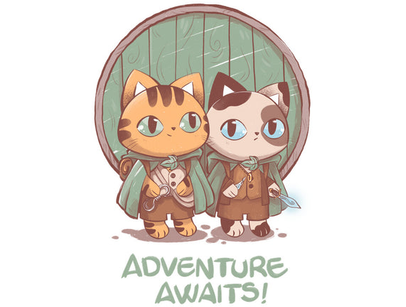 Kitten Adventure Awaits