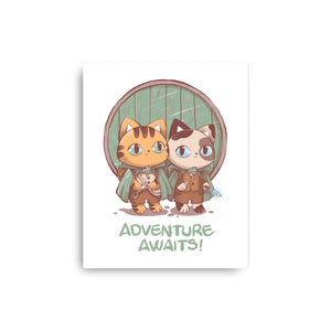 Kitten Adventure Awaits
