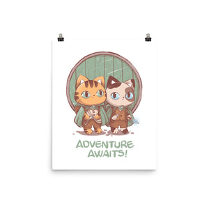 Kitten Adventure Awaits