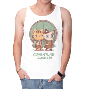 Kitten Adventure Awaits
