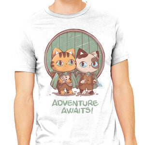 Kitten Adventure Awaits