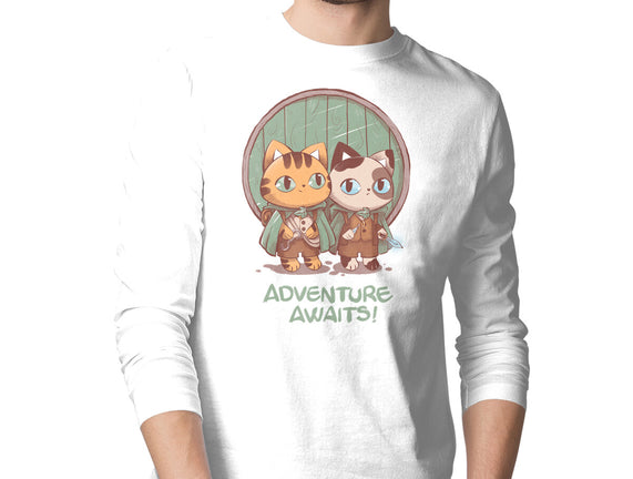 Kitten Adventure Awaits