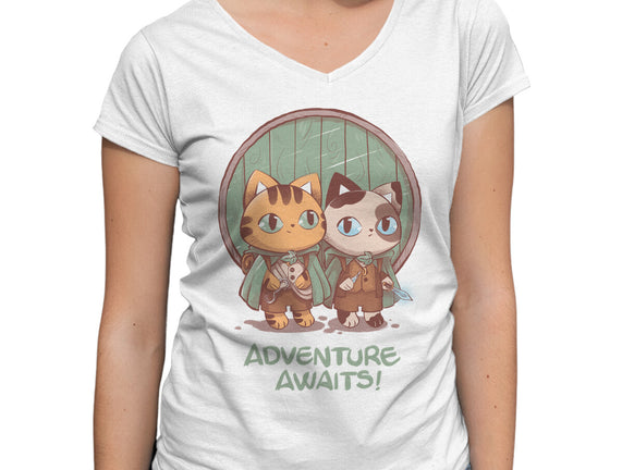 Kitten Adventure Awaits