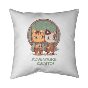 Kitten Adventure Awaits