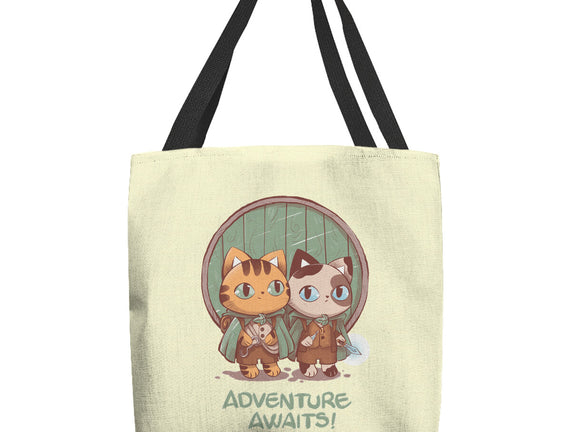 Kitten Adventure Awaits