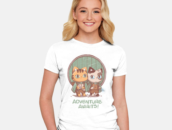 Kitten Adventure Awaits