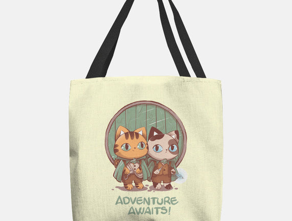 Kitten Adventure Awaits