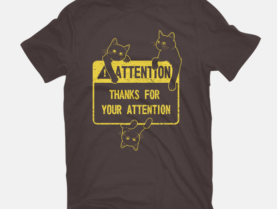 Thanks For Your Attention