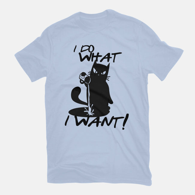 I Do What I Want-womens basic tee-fanfabio