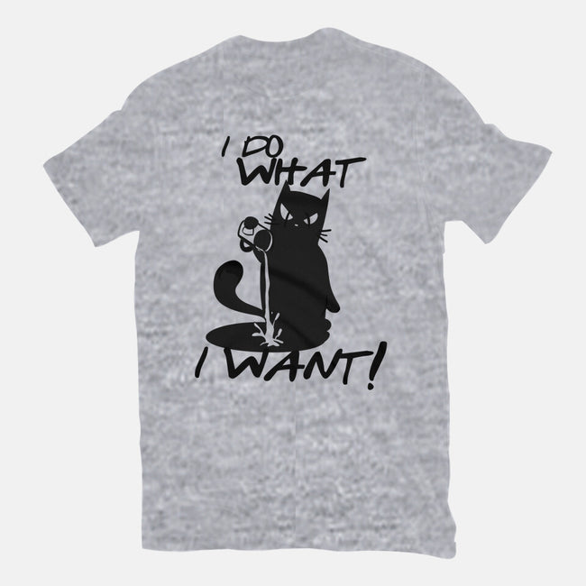 I Do What I Want-womens basic tee-fanfabio