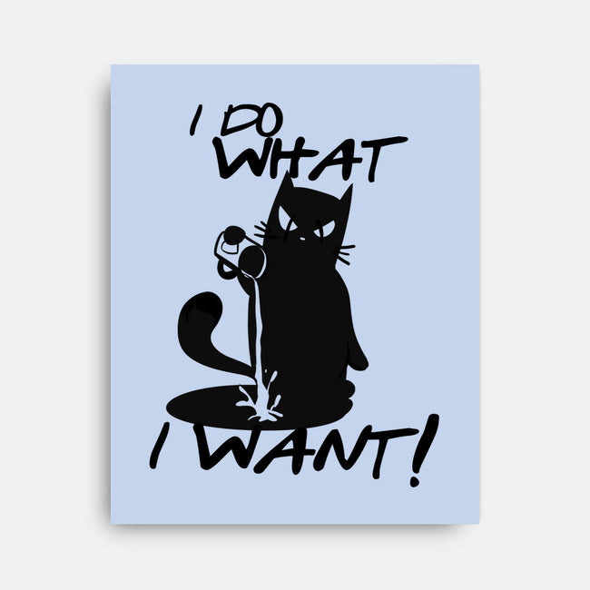 I Do What I Want-none stretched canvas-fanfabio