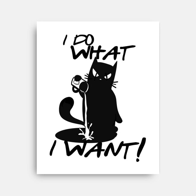 I Do What I Want-none stretched canvas-fanfabio